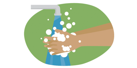Illustration of two hands being washed with soap under a faucet.